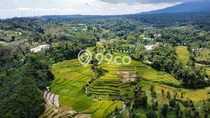 Tanah Dijual Lokasi Bojong Purwakarta SHM Tanah Dijual Lokasi Bojong Purwakarta SHM