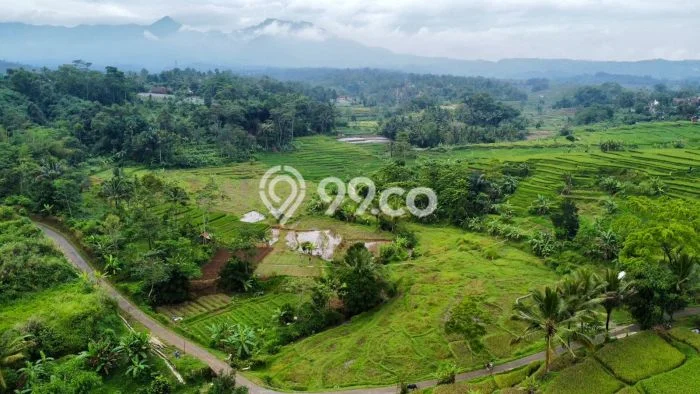 Lahan Kosong Dijual di Purwakarta dengan Area 1767m2 Lahan Kosong Dijual di Purwakarta dengan Area 1767m2