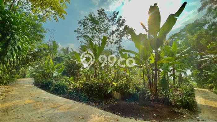 For Sale Tanah di Bojong, Luas 1021m2m², Lokasi Potensial For Sale Tanah di Bojong, Luas 1021m2m², Lokasi Potensial