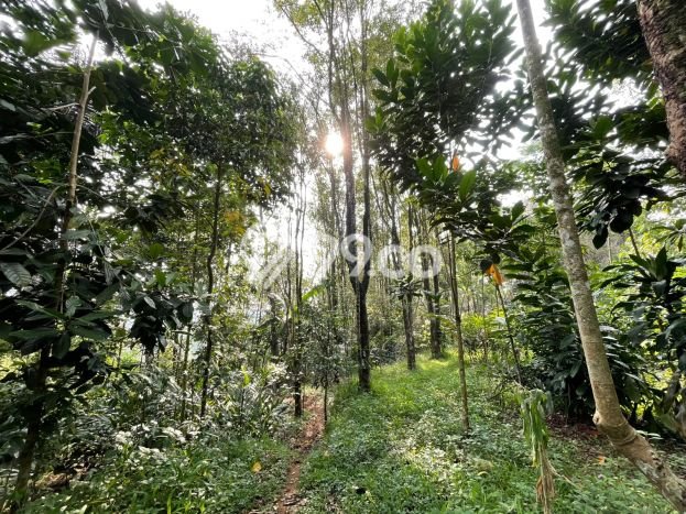 HARGA TERBAIK! Tanah di Bojong, Luas 1214m2m², Area Strategis HARGA TERBAIK! Tanah di Bojong, Luas 1214m2m², Area Strategis