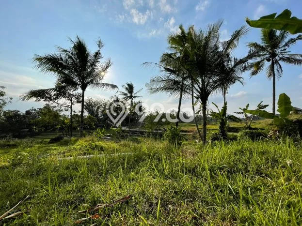 Lahan Investasi Lokasi Tanjungkerta Sumedang SHM Lahan Investasi Lokasi Tanjungkerta Sumedang SHM