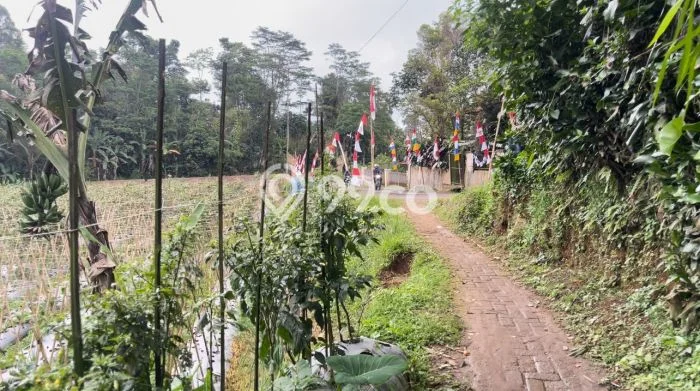 Kavling Tanah Dijual di Bojong Purwakarta Spesifikasi 1430m2 Kavling Tanah Dijual di Bojong Purwakarta Spesifikasi 1430m2