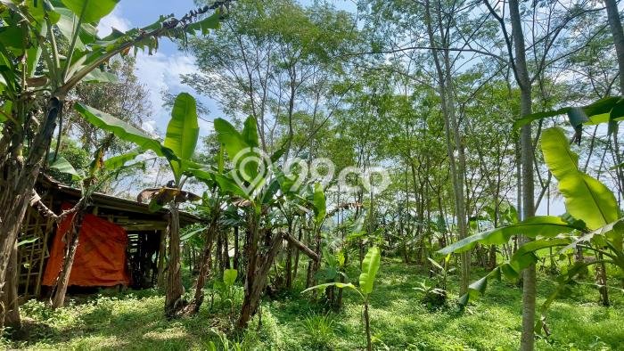 Tanah Komersial Kawasan Tanjungkerta, Luas 1418m², Lokasi Strategis Tanah Komersial Kawasan Tanjungkerta, Luas 1418m², Lokasi Strategis