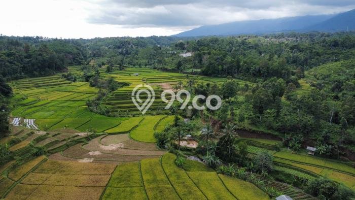 Lahan Investasi Lokasi Bojong Purwakarta SHM Lahan Investasi Lokasi Bojong Purwakarta SHM