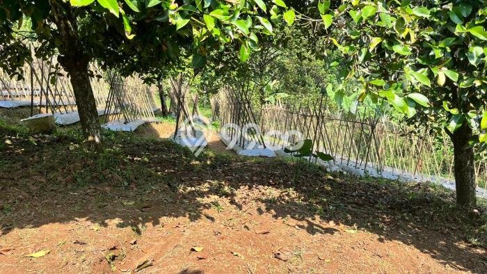 Tanah Area Berkembang di Bojong, Luas 2700m², Cocok untuk Investasi Tanah Area Berkembang di Bojong, Luas 2700m², Cocok untuk Investasi