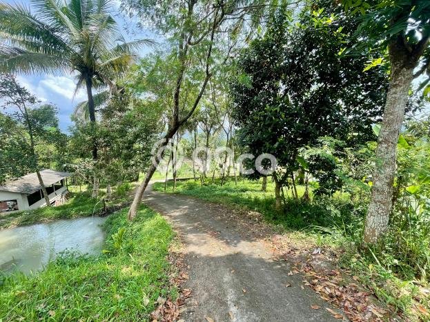 Tanah Komersial Kawasan Tanjungkerta, Luas 1418m², Lokasi Strategis Tanah Komersial Kawasan Tanjungkerta, Luas 1418m², Lokasi Strategis