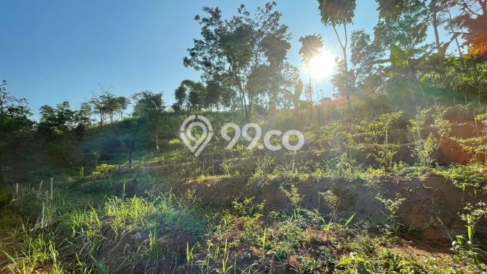 Kavling Tanah Dijual di Sumedang Selatan Sumedang Spesifikasi 1165m2 Kavling Tanah Dijual di Sumedang Selatan Sumedang Spesifikasi 1165m2