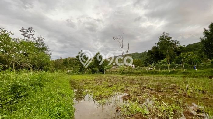 Lahan untuk Dijual Lokasi Bojong, Purwakarta Luas 2129m2 SHM Lahan untuk Dijual Lokasi Bojong, Purwakarta Luas 2129m2 SHM