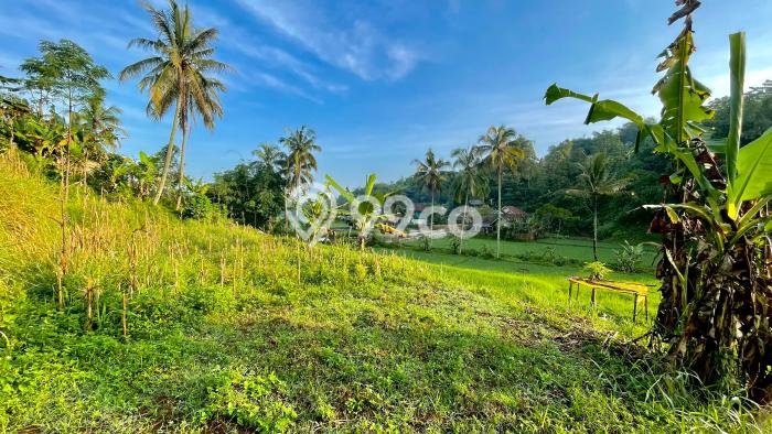 Jarang Ada! Tanah di Darangdan Punya Luas 3337m2 SHM Jarang Ada! Tanah di Darangdan Punya Luas 3337m2 SHM