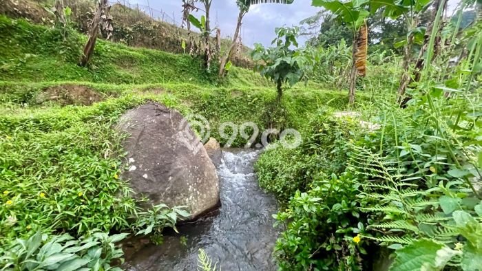 Lahan untuk Dijual Lokasi Bojong, Purwakarta Luas 2129m2 SHM Lahan untuk Dijual Lokasi Bojong, Purwakarta Luas 2129m2 SHM
