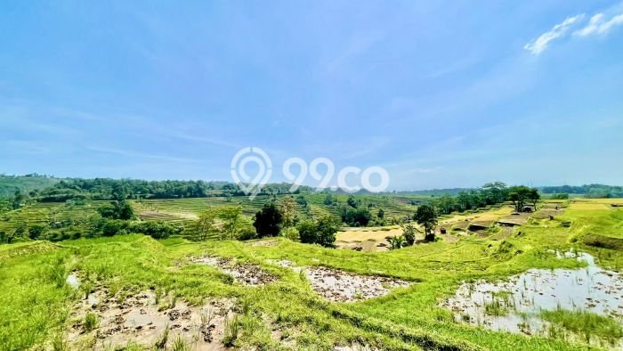 Dijual Tanah di Darangdan Purwakarta Luas 4426m2 SHM Dijual Tanah di Darangdan Purwakarta Luas 4426m2 SHM