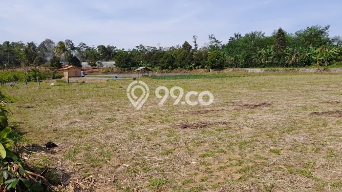 Lahan Kosong Dijual di Kiarapedes, Purwakarta, Luas 2822m2 Area Strategis Lahan Kosong Dijual di Kiarapedes, Purwakarta, Luas 2822m2 Area Strategis
