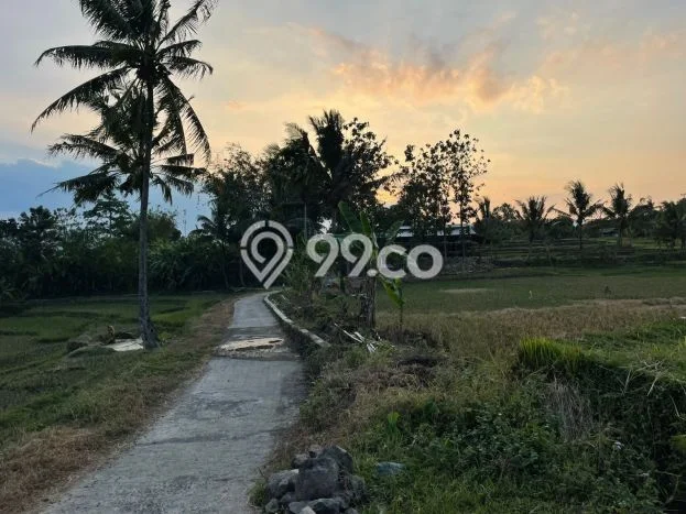 Lahan Investasi Lokasi Tanjungkerta Sumedang SHM Lahan Investasi Lokasi Tanjungkerta Sumedang SHM
