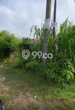 Untuk Disewa Tanah di Uluwatu Badung Seluas 995m2 Untuk Disewa Tanah di Uluwatu Badung Seluas 995m2