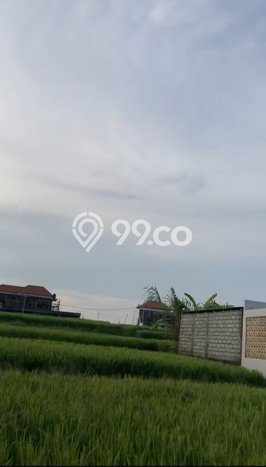 Disewakan Vila Kawasan Mengwi, Luas 0m2m², Lokasi Premium Disewakan Vila Kawasan Mengwi, Luas 0m2m², Lokasi Premium
