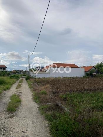Tanah Disewakan Lokasi Badung Seluas 1160m2 Strategis dan Aman Tanah Disewakan Lokasi Badung Seluas 1160m2 Strategis dan Aman