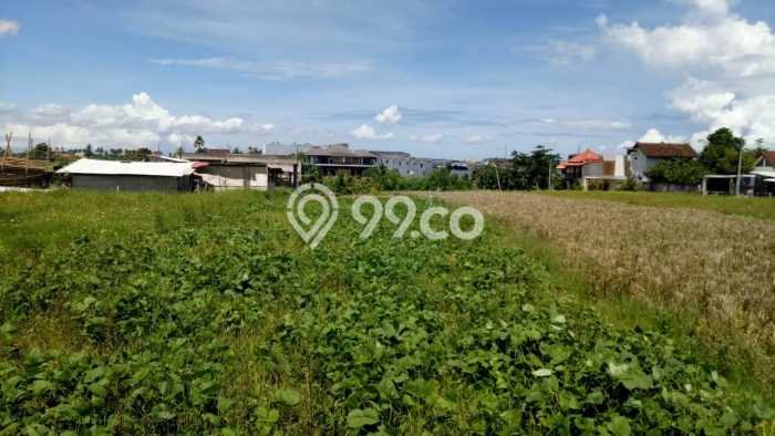 Tanah Disewa di Cemagi Strategis dan Memiliki Luas 500m2 Tanah Disewa di Cemagi Strategis dan Memiliki Luas 500m2
