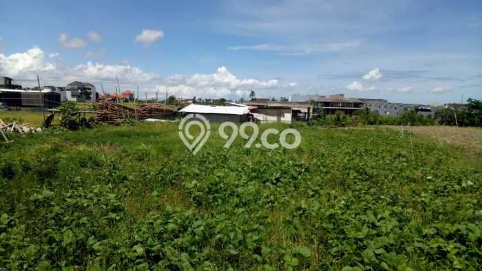 Tanah Disewa di Cemagi Strategis dan Memiliki Luas 500m2 Tanah Disewa di Cemagi Strategis dan Memiliki Luas 500m2
