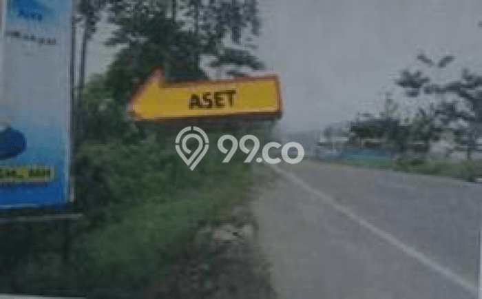 Lahan Kosong Dijual di Widang, Tuban, Luas 22220m2 Area Strategis Lahan Kosong Dijual di Widang, Tuban, Luas 22220m2 Area Strategis