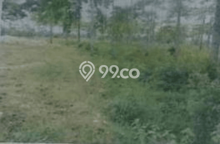 Lahan Kosong Dijual di Widang, Tuban, Luas 22220m2 Area Strategis Lahan Kosong Dijual di Widang, Tuban, Luas 22220m2 Area Strategis