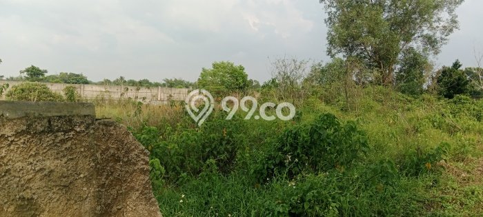 Tanah Kavling Dijual di Tangerang dengan Spesifikasi 981m2 Tanah Kavling Dijual di Tangerang dengan Spesifikasi 981m2