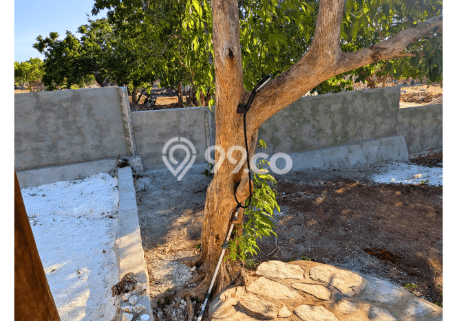 Vila Siap Sewa di Rote Barat Daya, Area 0m2m², Kawasan Asri Vila Siap Sewa di Rote Barat Daya, Area 0m2m², Kawasan Asri