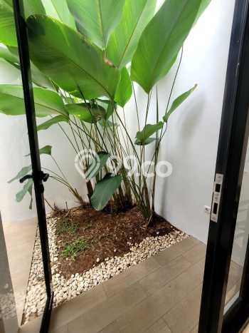 For Sale Rumah 3 Kamar Lokasi Ideal Bagus dan Strategis di Cisauk For Sale Rumah 3 Kamar Lokasi Ideal Bagus dan Strategis di Cisauk