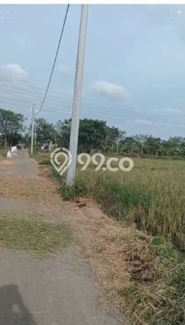 Tanah Dijual Lokasi Rajeg, Tangerang dengan Luas Tanah 150000m2 dan Status - Tanah Dijual Lokasi Rajeg, Tangerang dengan Luas Tanah 150000m2 dan Status -