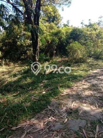 Jarang Ada! Tanah di Curug Punya Luas 12000m2 - Jarang Ada! Tanah di Curug Punya Luas 12000m2 -