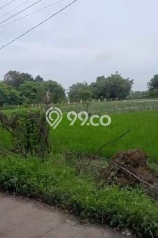 Kavling Tanah Dijual di Kronjo Tangerang Spesifikasi 50000m2 Kavling Tanah Dijual di Kronjo Tangerang Spesifikasi 50000m2