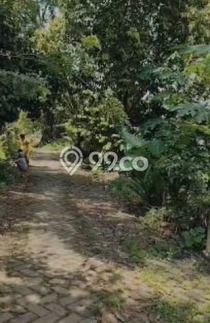 Lahan Strategis di Cisoka Dijual dengan Luas 700m2 Lahan Strategis di Cisoka Dijual dengan Luas 700m2