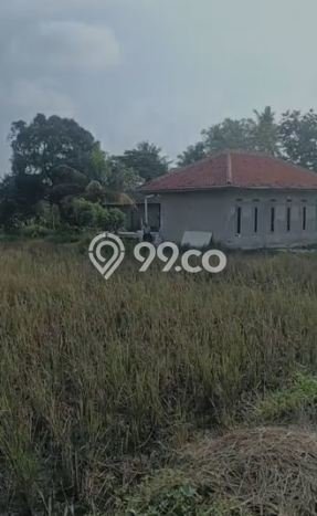 Tanah Dijual Lokasi Rajeg, Tangerang dengan Luas Tanah 150000m2 dan Status - Tanah Dijual Lokasi Rajeg, Tangerang dengan Luas Tanah 150000m2 dan Status -