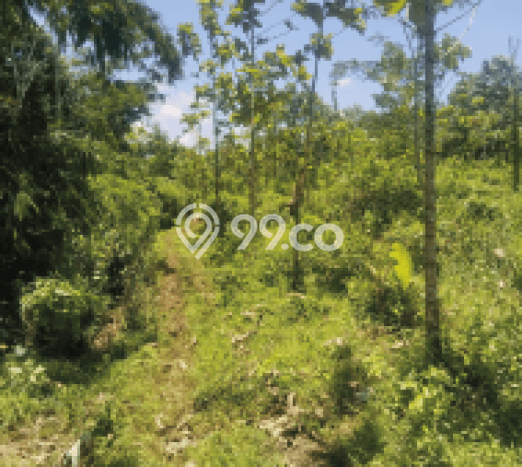 Tanah Dijual Lokasi Curugbitung, Lebak Luas 11000m2 Legalitas Aman Tanah Dijual Lokasi Curugbitung, Lebak Luas 11000m2 Legalitas Aman