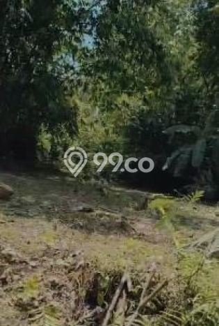 Lahan Strategis di Cisoka Dijual dengan Luas 700m2 Lahan Strategis di Cisoka Dijual dengan Luas 700m2