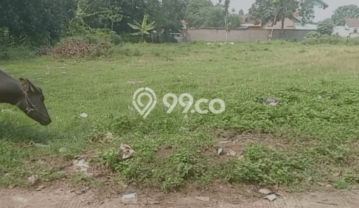 Jarang Ada! Tanah di Tigaraksa Punya Luas 5030m2 AJB Jarang Ada! Tanah di Tigaraksa Punya Luas 5030m2 AJB