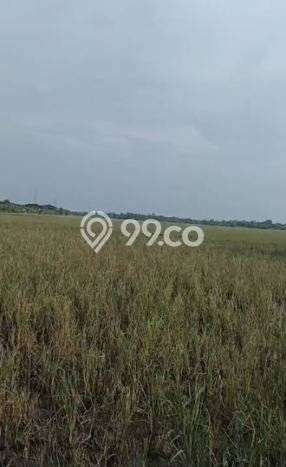 Tanah Dijual Lokasi Rajeg, Tangerang dengan Luas Tanah 150000m2 dan Status - Tanah Dijual Lokasi Rajeg, Tangerang dengan Luas Tanah 150000m2 dan Status -