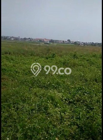 Tanah di Neglasari, Tangerang Luas 136000m2 Dijual Segera Tanah di Neglasari, Tangerang Luas 136000m2 Dijual Segera