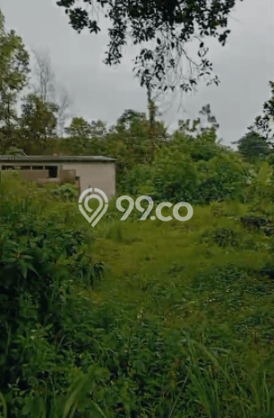 Tanah Dijual Lokasi Tenjo Bogor SHM Tanah Dijual Lokasi Tenjo Bogor SHM