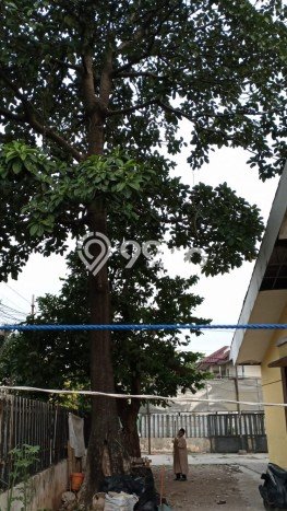 Dijual Hunian Mewah dengan Fasilitas Sekitar Lengkap di Pulo Gadung, Jakarta Timur Dijual Hunian Mewah dengan Fasilitas Sekitar Lengkap di Pulo Gadung, Jakarta Timur