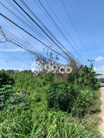 Jarang Ada! Tanah di Sungai Kunjang Punya Luas 3995m2 SHM Jarang Ada! Tanah di Sungai Kunjang Punya Luas 3995m2 SHM