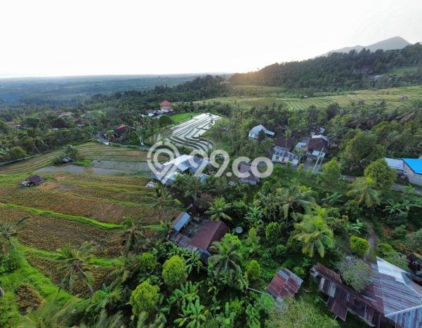 Tanah di Buleleng, Buleleng Luas 350m2 Dijual Segera Tanah di Buleleng, Buleleng Luas 350m2 Dijual Segera