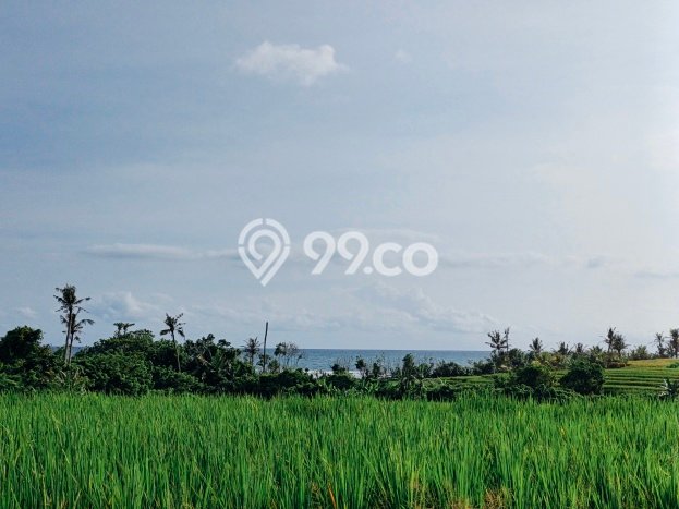 Lahan Investasi Lokasi Tabanan Tabanan SHM Lahan Investasi Lokasi Tabanan Tabanan SHM
