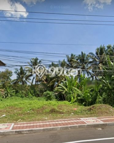 Tanah Disewa Strategis di Tabanan Luas 1200m2 Tanah Disewa Strategis di Tabanan Luas 1200m2