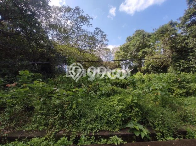 Lahan untuk Dijual Lokasi Marga, Tabanan Luas 1300m2 SHM Lahan untuk Dijual Lokasi Marga, Tabanan Luas 1300m2 SHM