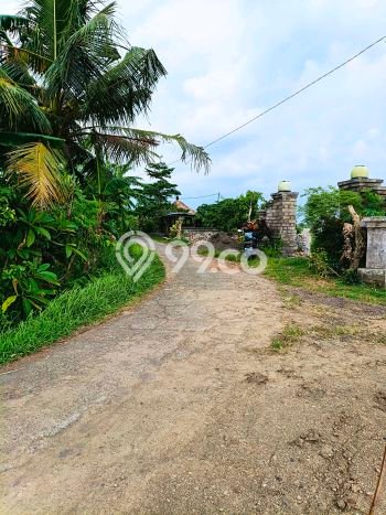Lahan Kosong Dijual di Tabanan dengan Area 100m2 Lahan Kosong Dijual di Tabanan dengan Area 100m2
