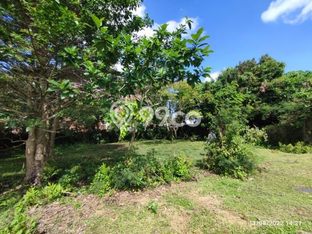 Tanah Dijual di Badung Seluas 400m2 Strategis Tanah Dijual di Badung Seluas 400m2 Strategis