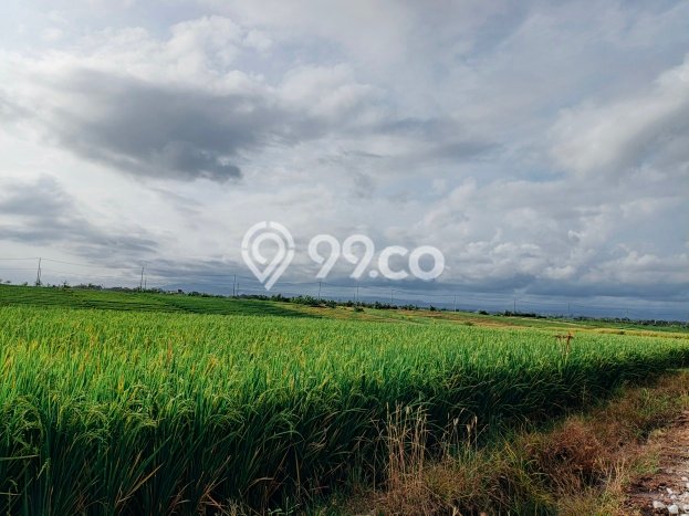 Lahan Investasi Lokasi Tabanan Tabanan SHM Lahan Investasi Lokasi Tabanan Tabanan SHM