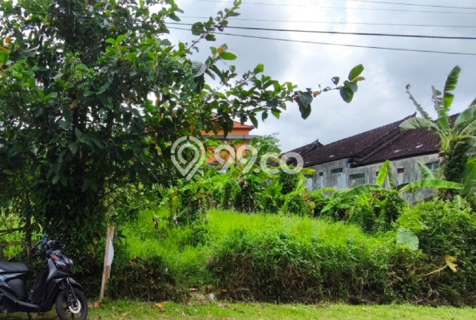 Lahan Investasi Lokasi Tabanan Tabanan SHM Lahan Investasi Lokasi Tabanan Tabanan SHM