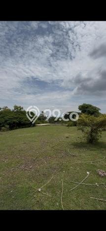 Tanah Dijual di Badung Seluas 3512m2 Strategis Tanah Dijual di Badung Seluas 3512m2 Strategis
