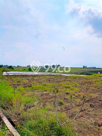 Lahan Kosong Dijual di Tabanan dengan Area 100m2 Lahan Kosong Dijual di Tabanan dengan Area 100m2